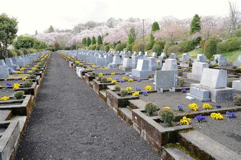 墓 植物|お墓に木を植えてもOK？メリット・デメリットやお手入れ方法。